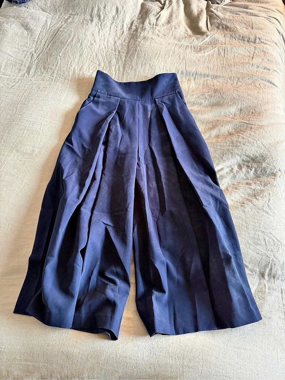 Milly Pleated Culottes in Blue Size 4 Like New